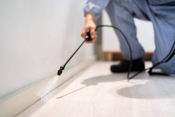Rodent Entry Point Assessment in Susanville