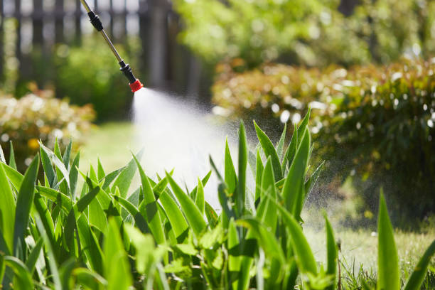 Tamper-Resistant Bait Stations for Rodents in Susanville