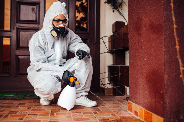 Attic and Crawl Space Rodent Treatment in Susanville