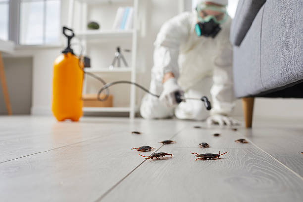 Commercial Rodent Management in Susanville